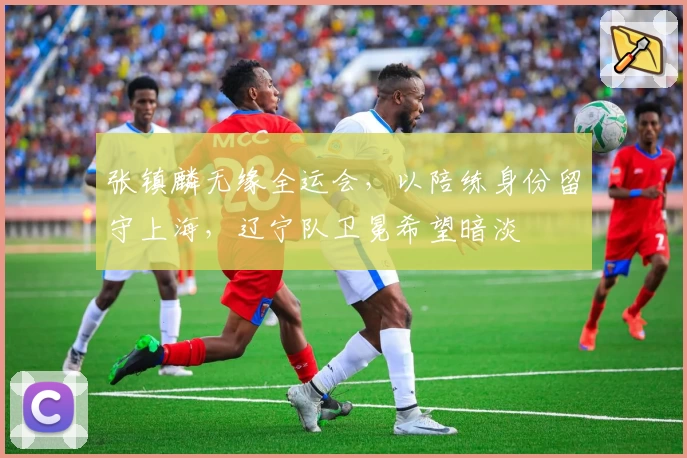 张镇麟无缘全运会，以陪练身份留守上海，辽宁队卫冕希望暗淡