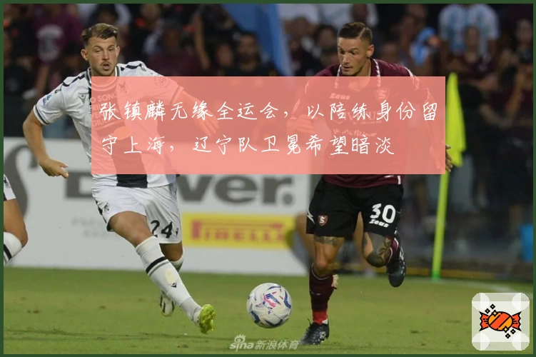 张镇麟无缘全运会，以陪练身份留守上海，辽宁队卫冕希望暗淡